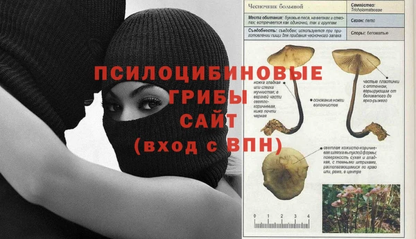 ПСИЛОЦИБИНОВЫЕ ГРИБЫ Аркадак