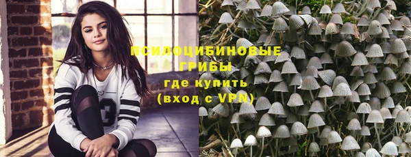 ПСИЛОЦИБИНОВЫЕ ГРИБЫ Аркадак
