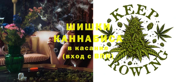 ПСИЛОЦИБИНОВЫЕ ГРИБЫ Аркадак